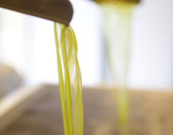 The olive oil extraction process